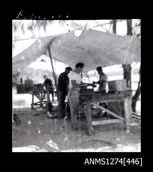 Four people working at benches under a shade cloth on Packe Island