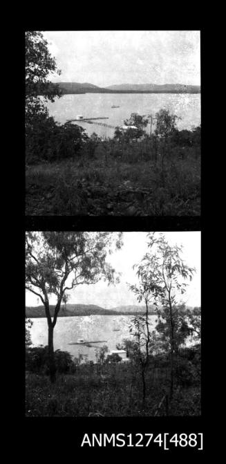 Two black-and-white negatives, joined together, of trees, and a raft in the water, on Packe Island