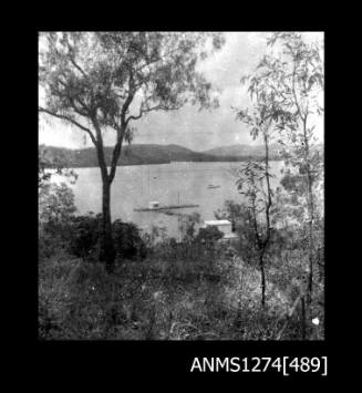 Trees, and a raft in the water, on Packe Island