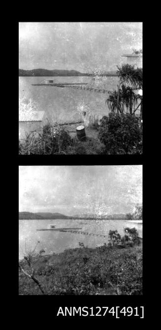 Two black-and-white negatives, joined together, of trees, and a raft in the water, on Packe Island