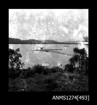 Trees, and a raft in the water, on Packe Island