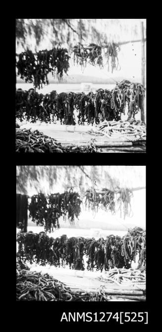 Two black-and-white negatives of rope hanging on two wooden beams, with piles of ropes on the ground, on Packe Island