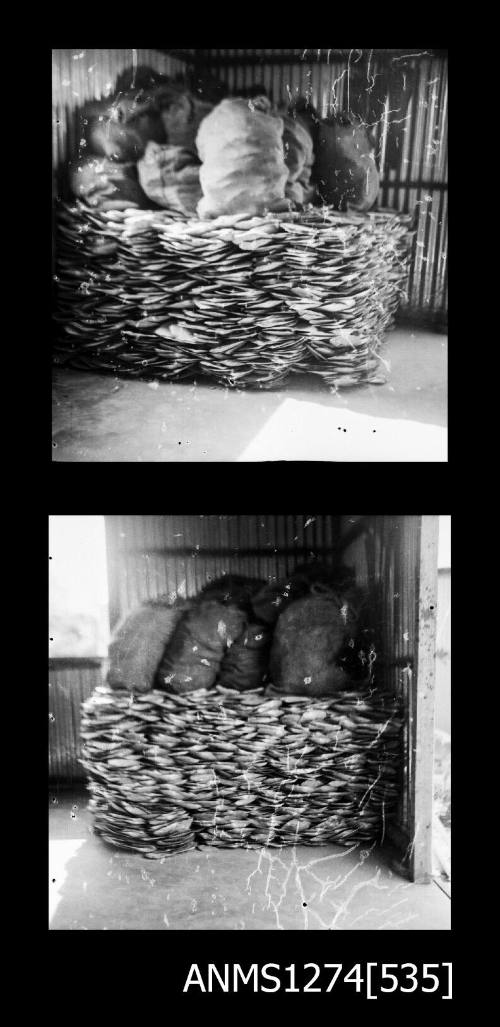 Two black-and-white negatives, joined together, possibly of wicker style baskets, with large, full bags sitting on top, on Packe Island