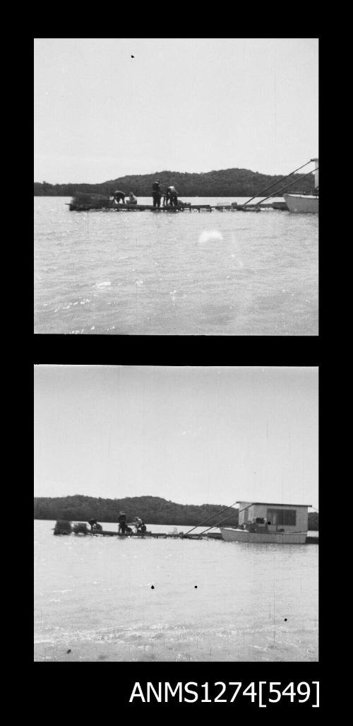 Two black-and-white negatives, joined together, of several people working on the raft on Packe Island