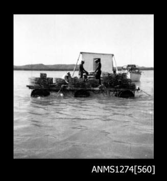 Several men working on a pearl raft on Packe Island