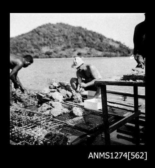 Several men working on a pearl raft on Packe Island, amongst pearl cages and pearl shells