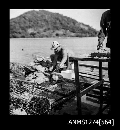 Two people handling pearl shells on a pearl raft on Packe Island