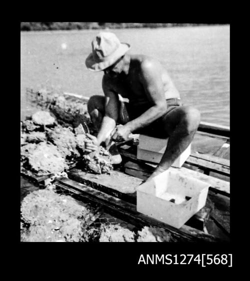 A man sitting on a pearl raft, holding a pearl shell, on Packe Island