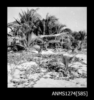 A shed, surrounded by palm trees, with a sign warning of set traps, on Packe Island