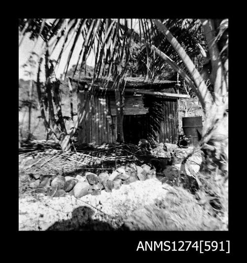 A shed, surrounded by palm trees and equipment, on Packe Island