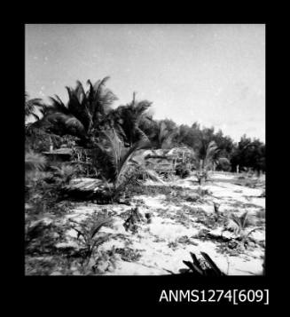 A wooden structure surrounded by palm trees on Packe Island, with a sign saying Warning, keep out, Dingo traps set in Garden and Camp