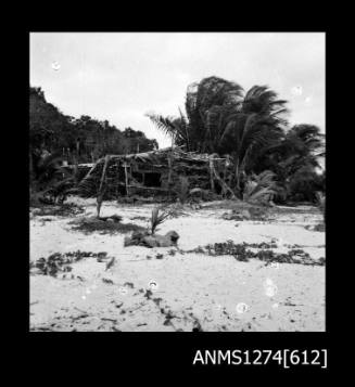 A wooden structure on a beach, surrounded by trees, on Packe Island