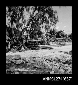 Shoreline with trees and metal cylinders, on Packe Island