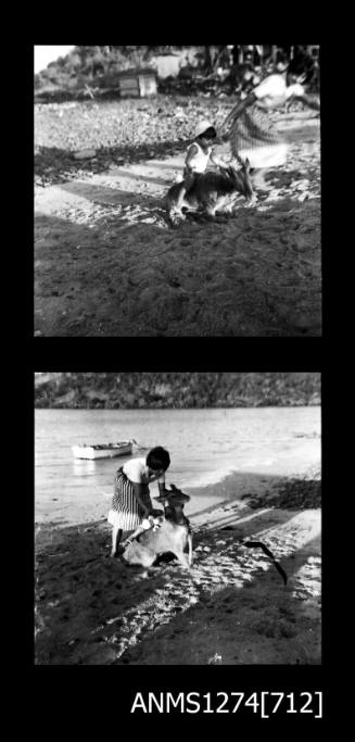 Yurie (or Yulie) George on a beach, placing her young son on the back of a deer, on Packe Island