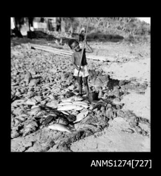 A yound boy holding a spear, with a bucket and caught fish at his feet, on Packe Island