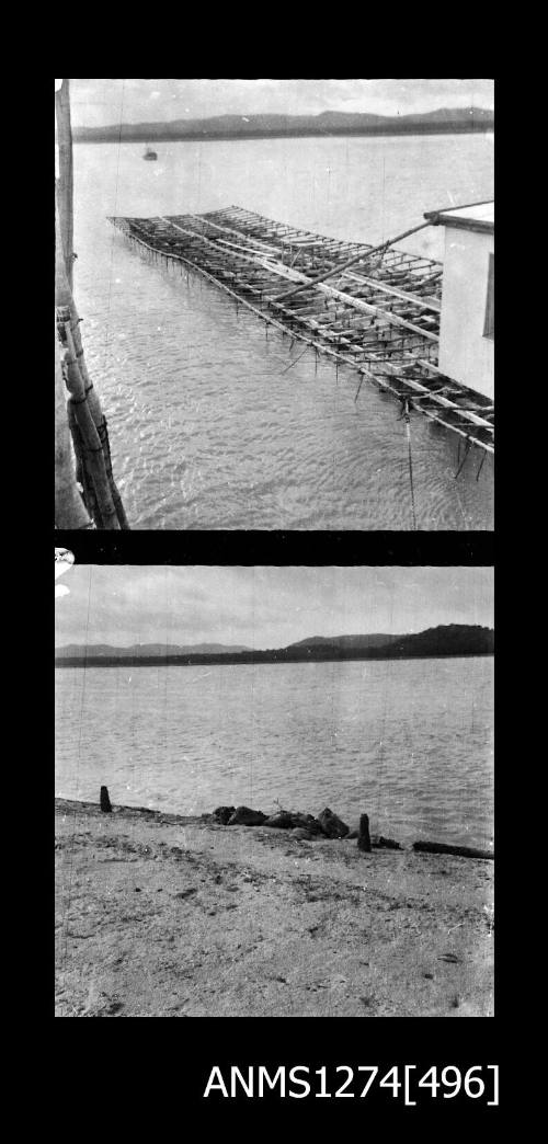 Two black-and-white negatives of a raft loaded with shells, and rocks on a beach, on Packe Island