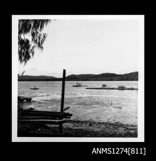 Wood on the shoreline, and boats in the water, on Packe Island