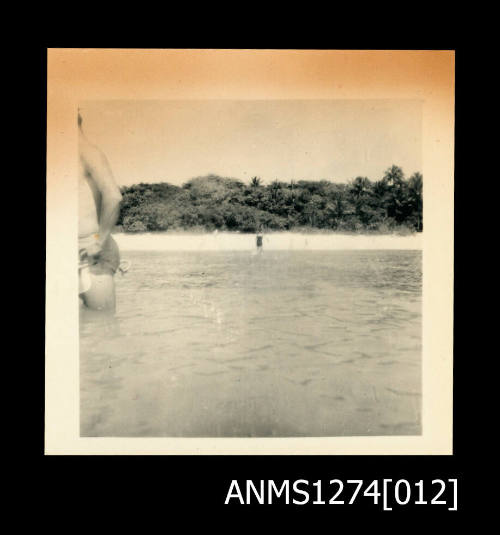 A beach on Green Island, taken from the water