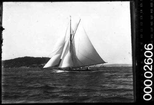 HERESHOFF sailing on Sydney Harbour