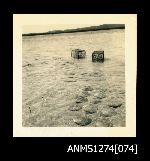 Two wire pearl cages in shallow water, next to which are pearl shells in the sand, on Packe Island