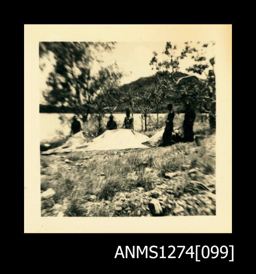 Photograph of five men putting up a tent on grass by a river, on Packe Island