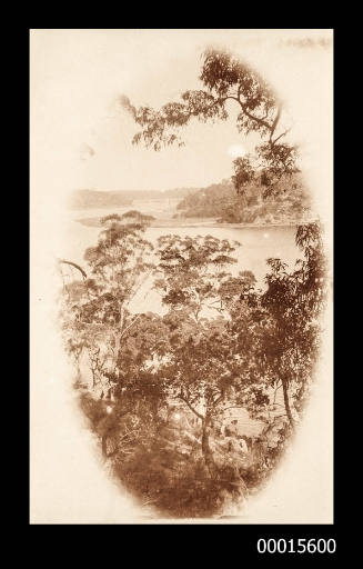 Untitled (view of river through trees)