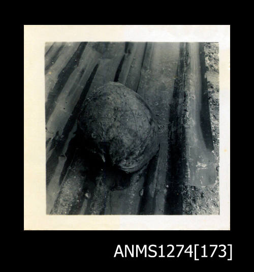 A large shell, lying on a piece of corrugated iron, on Packe Island