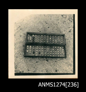 A box, divided into sections, with semi-circle shaped nuclei lined up in rows, on Packe Island