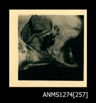 Pearl shell with nuclei in the shape of a cruciform (the same shell as ANMS1274[256]), with a tag numbered, on Packe Island