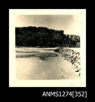 A beach, with a rock wall, and next to bushland, on Packe Island