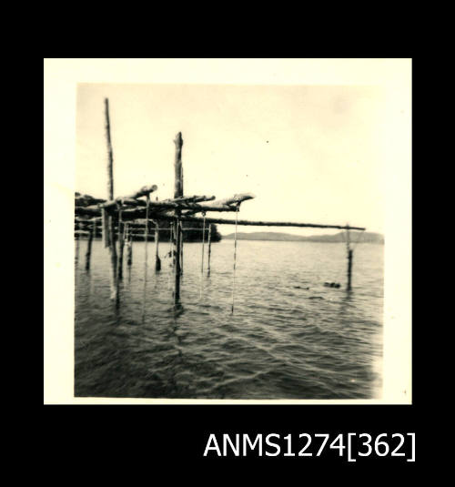 A wooden pearl raft, over the water on Packe Island