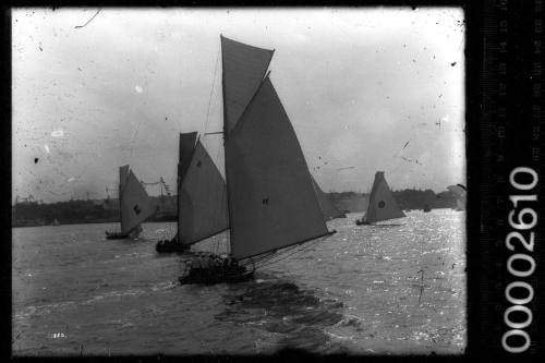 Fleet of large open boats racing on Sydney Harbour