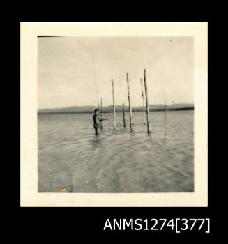 A man standing in shallow water next to wooden poles, which are stuck into the sand, on Packe Island