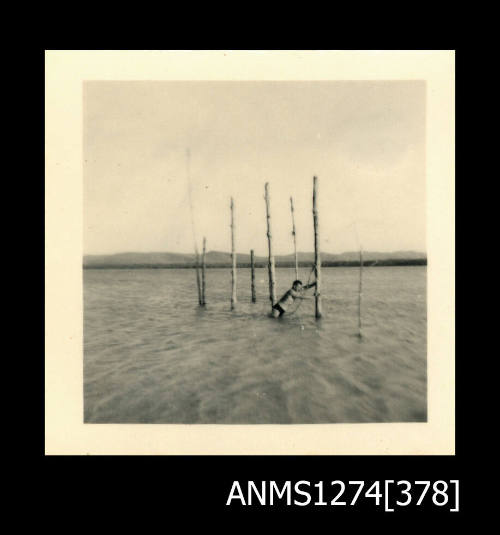 A man in shallow water, leaning on one of several wooden poles which are stuck into the sand, on Packe Island