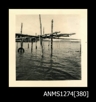 A wooden pearl structure, composed from wooden poles over water, on Packe Island