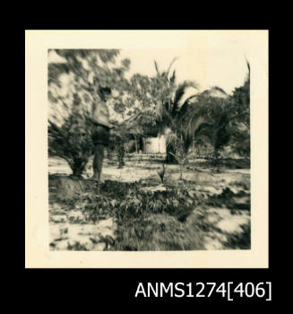 A man standing on sand, with surrounding palm trees, on Packe Island