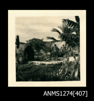 A man standing on sand in front of a hut like structure, with surrounding palm trees, on Packe Island