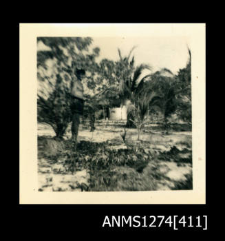 A man standing on sand, near palm trees, on Packe Island