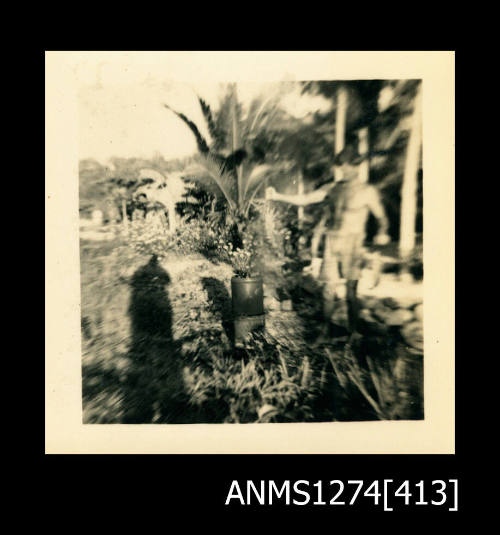 A man, standing next to a palm tree, on Packe Island