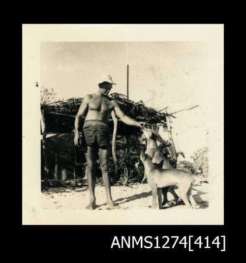 A man, feeding two large dogs, on Packe Island