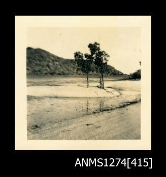 A beach, with three trees on the sand in the middle, on Packe Island