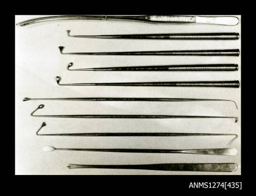 Photograph of surgical tools, probably dental tools, used in the pearl seeding process