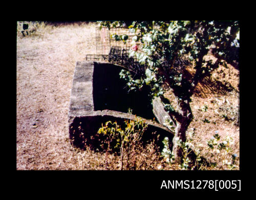 A concrete pit, next to a tree