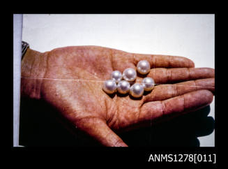 35mm colour transparency of a persons hand, holding seven spherical cultured pearls