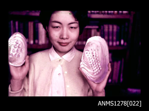 35mm colour  transparency of a Japanese woman holding up two pearl shells, each with numerous blister pearls