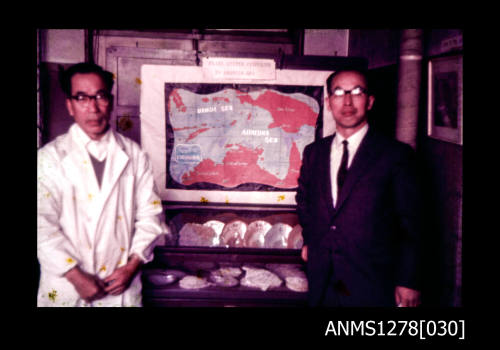 35mm colour transparency of two Japanese men, standing either side of a map, underneath which are pearl shells