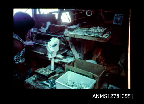 35mm colour transparency of a woman, machinery and pearl shells inside a shed