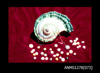 35mm colour transparency of a large shell, surrounded by pearls, half pearls (or mabe pearls), and jewellery