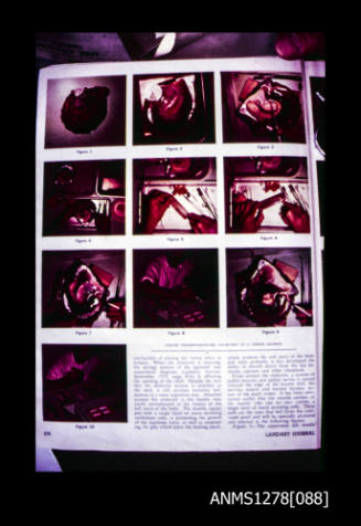 35mm colour transparency of a page from a book, with pictures of pearl shells