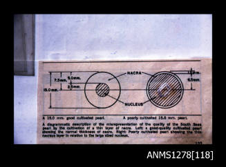 35mm colour transparency of a diagram of a nucleus